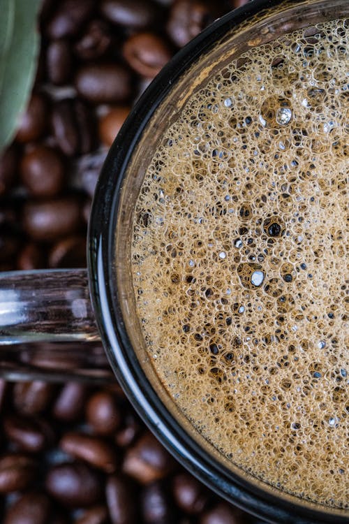 คลังภาพถ่ายฟรี ของ กาแฟ, ดื่ม, ถ้วย