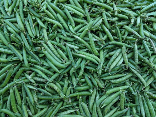 Close up of Pea Pods