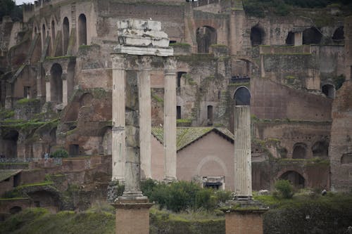 イタリア, コラム, フォーラムロマナムの無料の写真素材