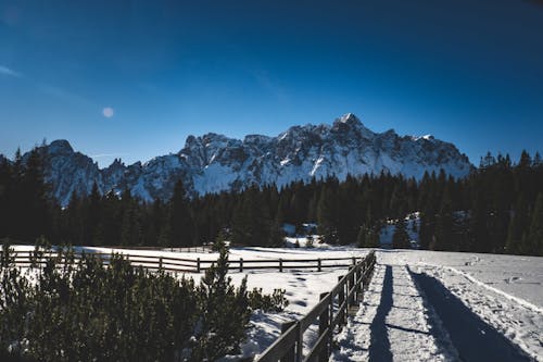 Foto profissional grátis de floresta, inverno, montanhas