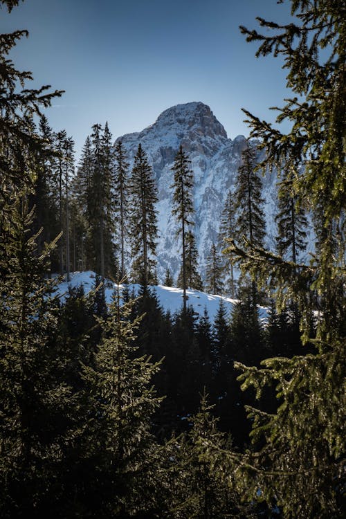 Gratis stockfoto met bergen, besneeuwd, bomen