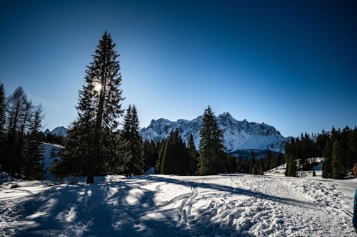 Fotobanka s bezplatnými fotkami na tému hory, krajina, sneh
