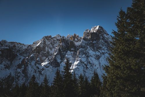 Free Breathtaking snowy mountain range with evergreen trees under a clear blue sky. Stock Photo