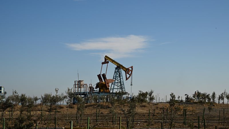 Eólica Offshore no Litoral Brasileiro: Oportunidades e Desafios para Executivos