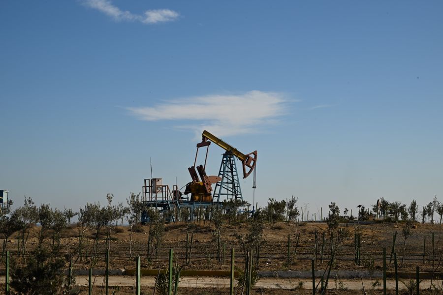 Pump jacks working in an oil field