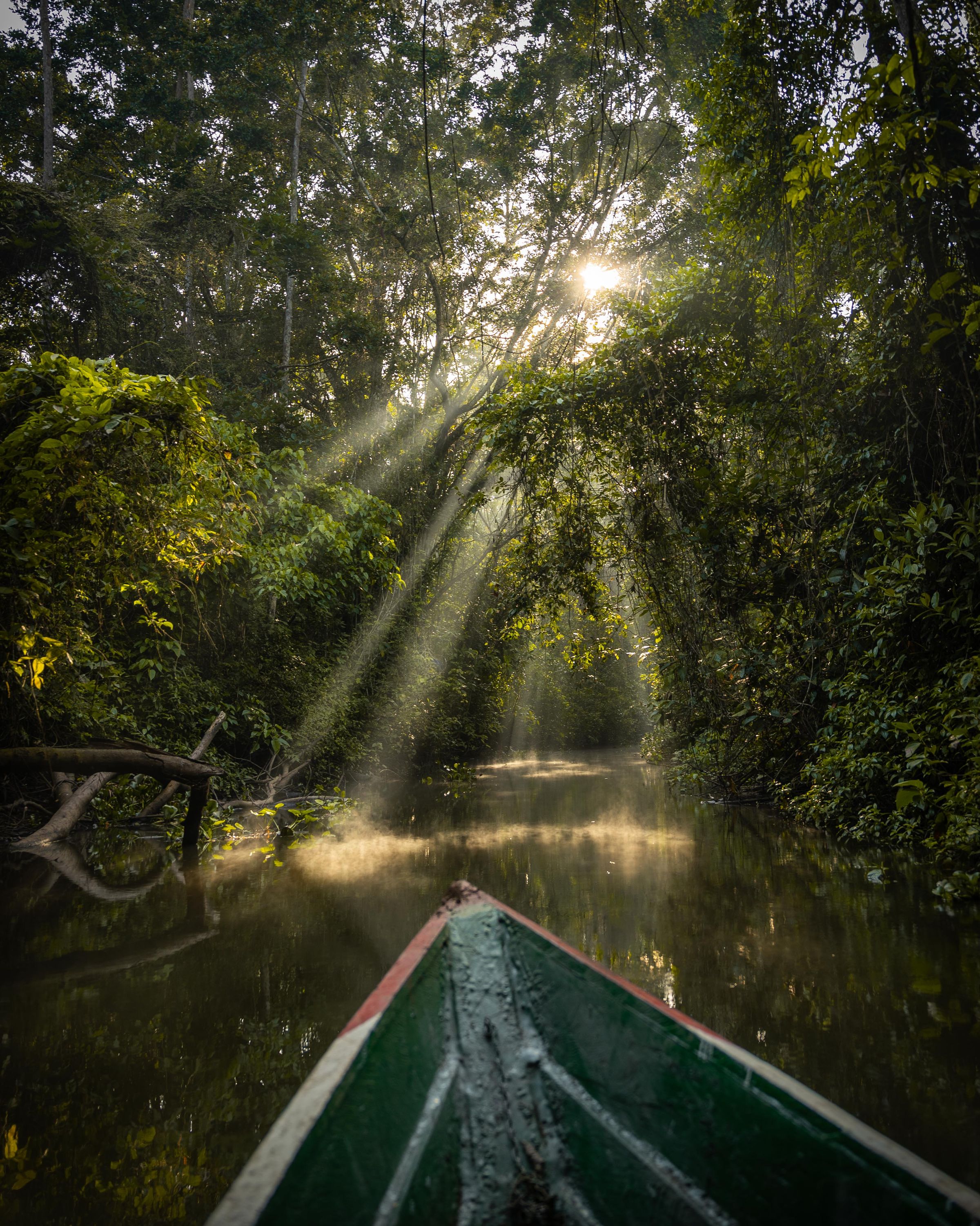 Parque Nacional Madidi Bolivia — barca en el río Tuichi entrando a la selva primaria amazónica, el espacio protegido más biodiverso del planeta. Foto: Bill Salazar / Pexels