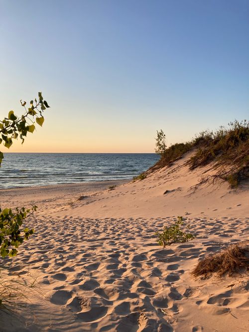 Free A tranquil sandy beach scene with lush vegetation at sunrise, perfect for relaxation. Stock Photo