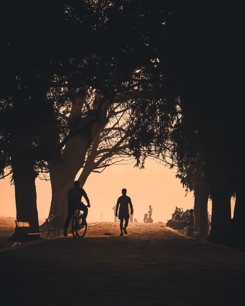 Free Silhouetted people walking and cycling under trees during warm sunset in a scenic park setting. Stock Photo