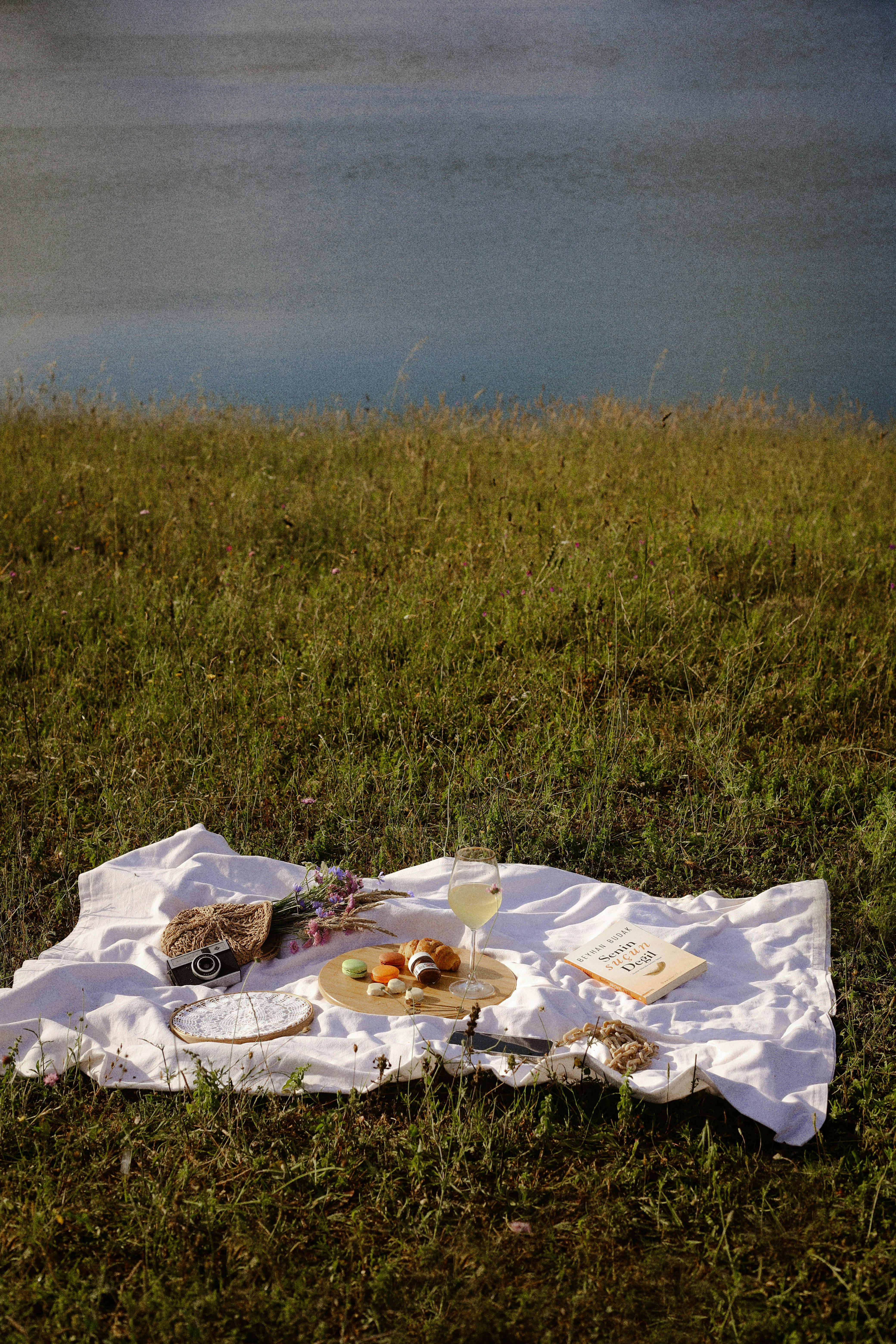 A peaceful picnic setup on a grassy riverbank featuring snacks, wine, and a book.