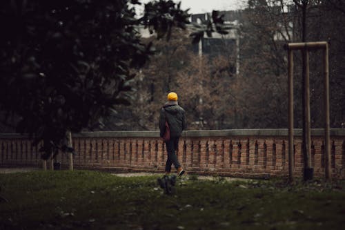 Gratis stockfoto met achteraanzicht, bomen, hoed