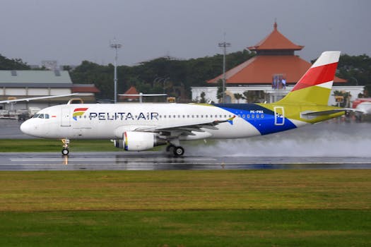 Pelita Air aircraft on wet tarmac during rainy day at airport.