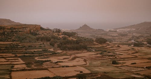 Fotos de stock gratuitas de calentar, melocotón, naturaleza