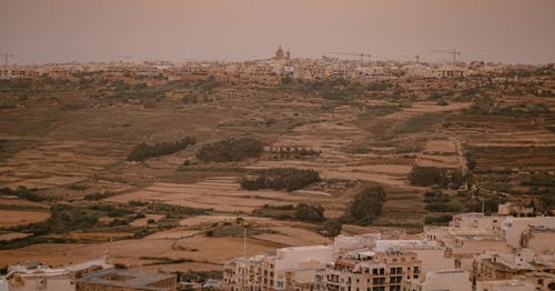 城市, 天性, 桃子 的 免费素材图片