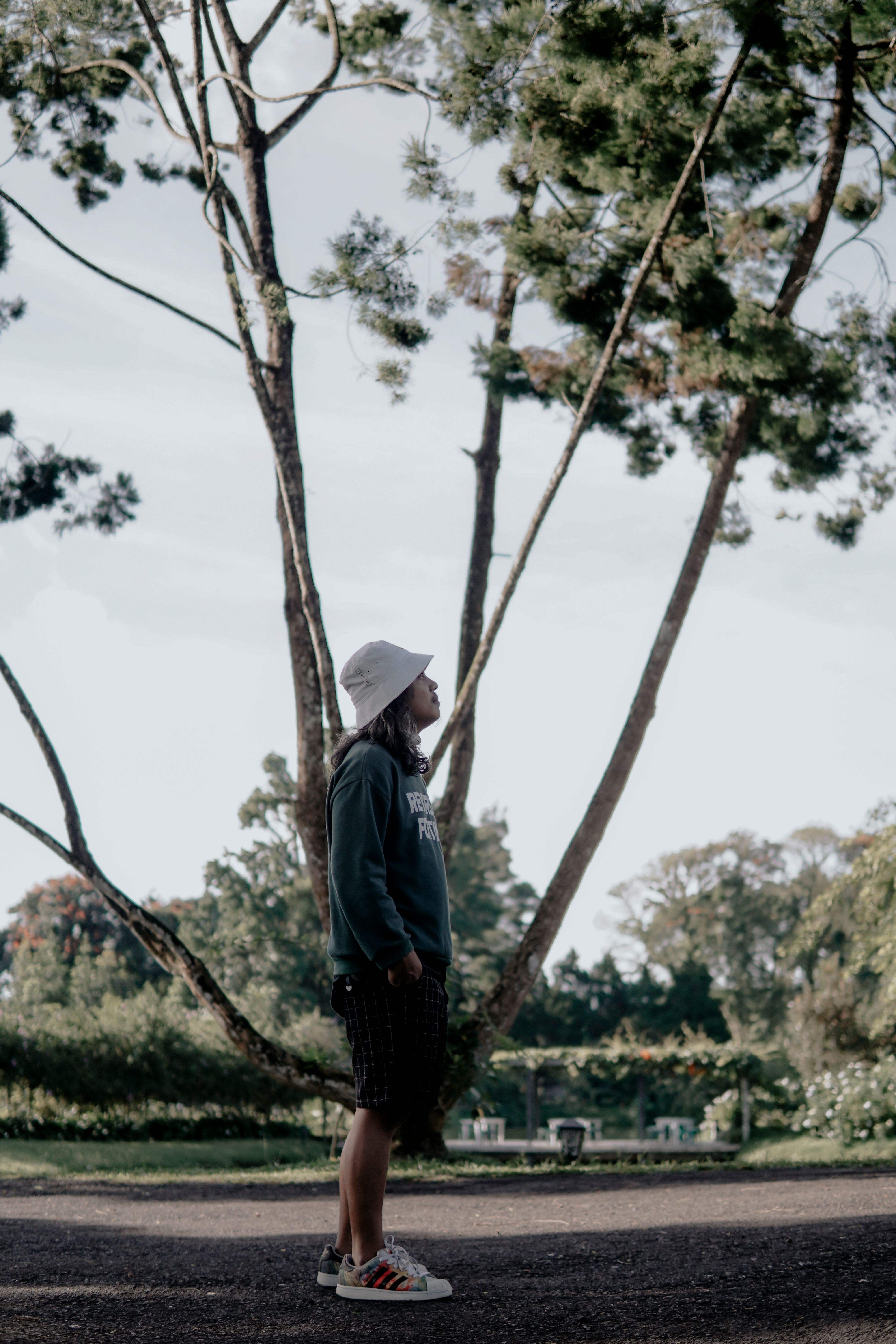 Man in Bucket Hat, Hoodie and Shorts is Looking Up at Tree · Free Stock ...