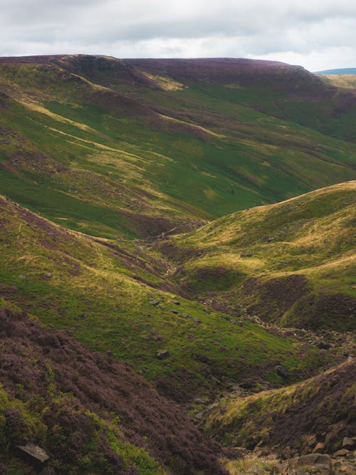 View of Green Hills and a Valley 