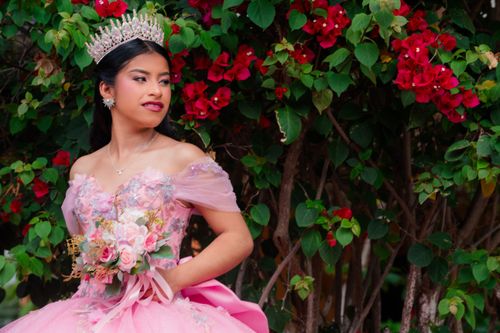 Free A young woman in a pink dress and tiara posing with red bougainvillea flowers. Stock Photo