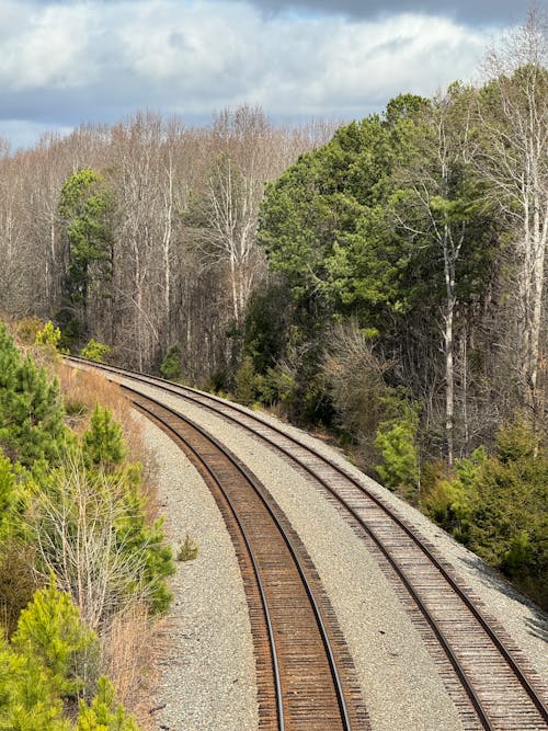 View of Empty Railway between Trees