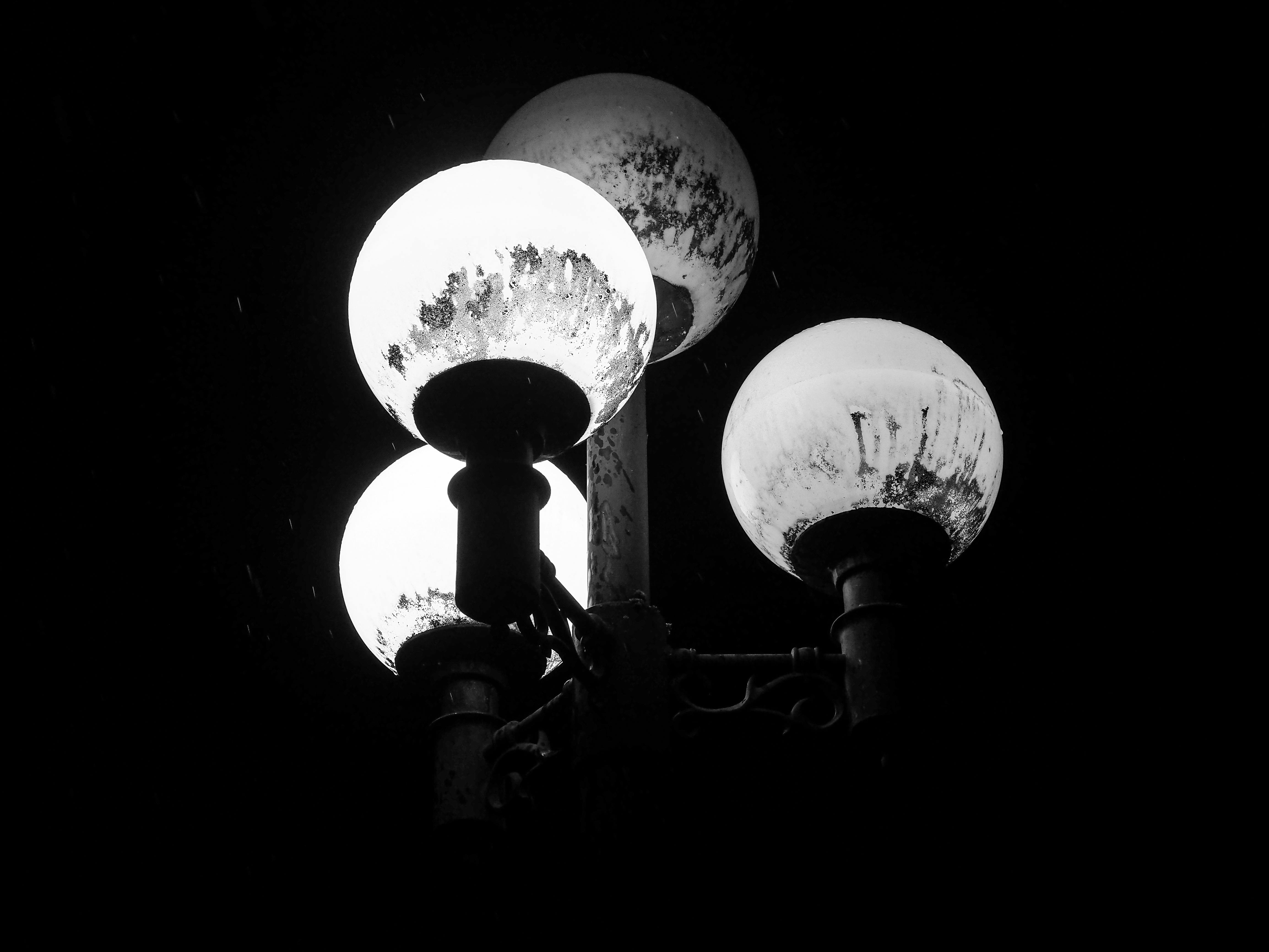 Blue Ox Studio Photography