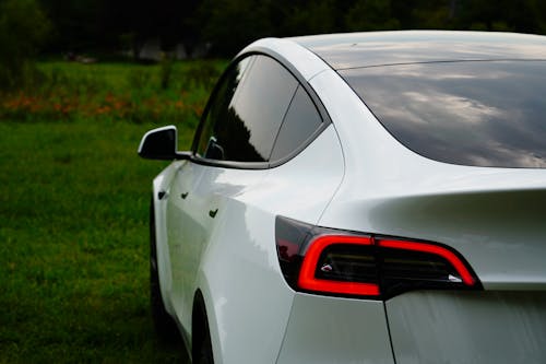Back View of White Tesla Model Y