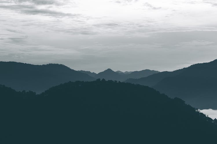 Forested Hills At Dusk