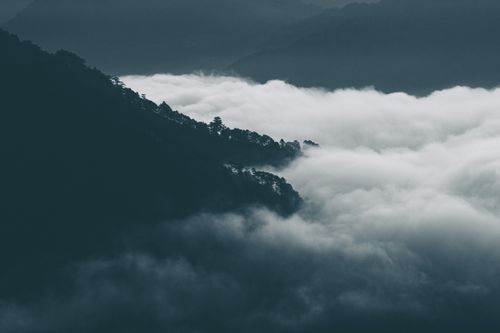 Free A serene mountain view with trees silhouetted against dense fog, capturing a moody atmosphere. Stock Photo