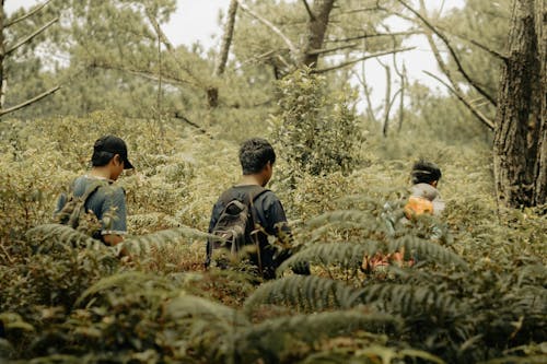 Back View of a Group of People Walking in a Forest 