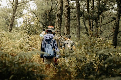 Back View of a Group of People Walking in a Forest 