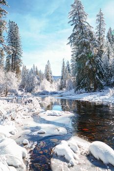 A serene winter landscape featuring a snow-covered forest and a tranquil river in California.