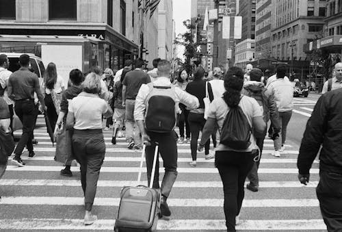 View of a Busy Crosswalk in New York City 
