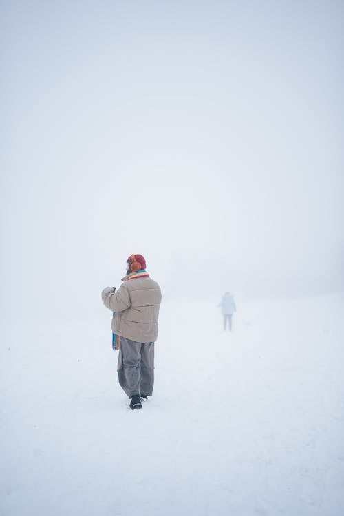 人, 冬季, 冷 的 免費圖庫相片