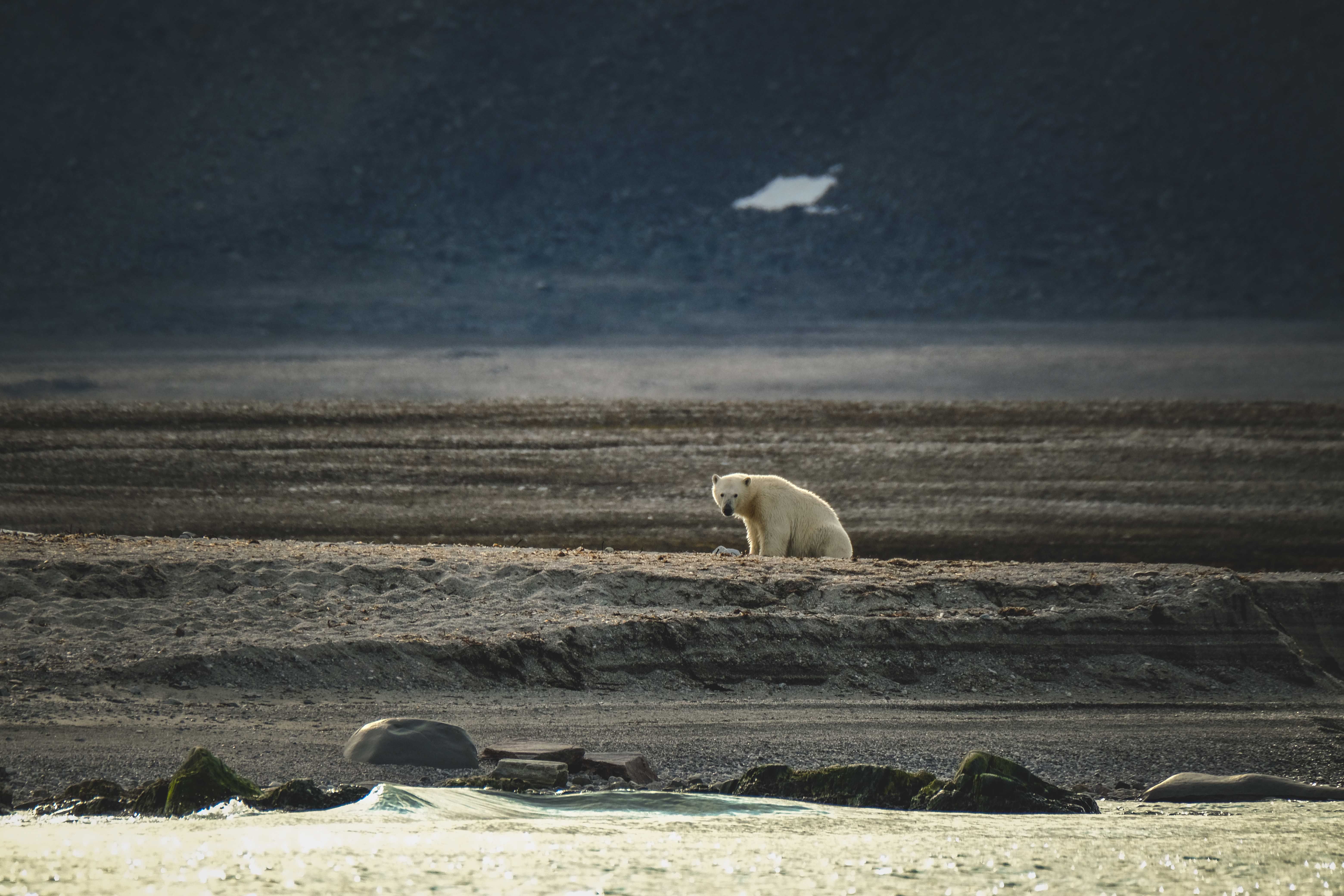 Svalbard