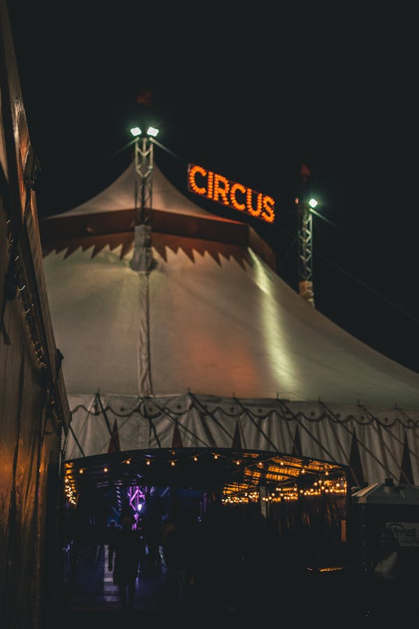 Gray Circus Tent during Nighttime