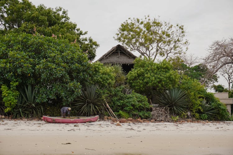 Hut Behind Trees And Bushes On Beach