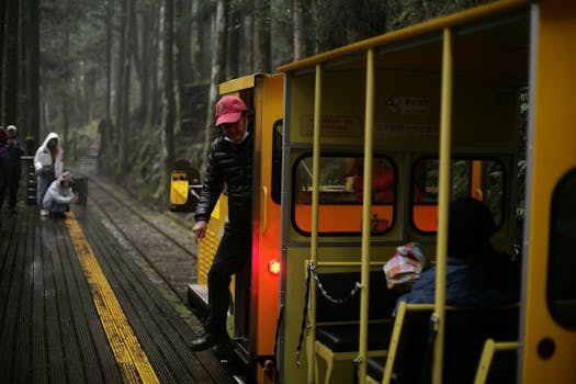 Locals and tourists enjoy a misty train ride in a forested area, capturing the essence of travel and adventure.