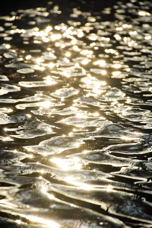 Shiny Water Surface at Sunset