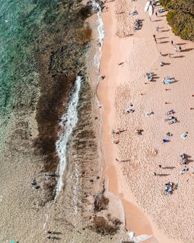令人惊叹的海滩航拍照片中，日光浴者正享受着夏日阳光