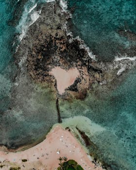 从上方拍摄的鸟瞰图展现了原始海滩的惊人景色，碧绿的海水和岩石结构清晰可见