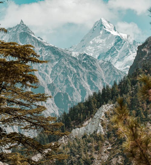 Foto De árvores Verdes Na Montanha Branca