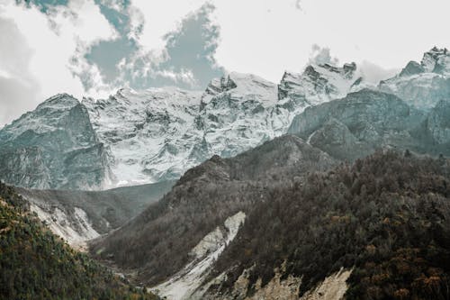 Arbres Verts Et Chaînes De Montagnes En Hiver