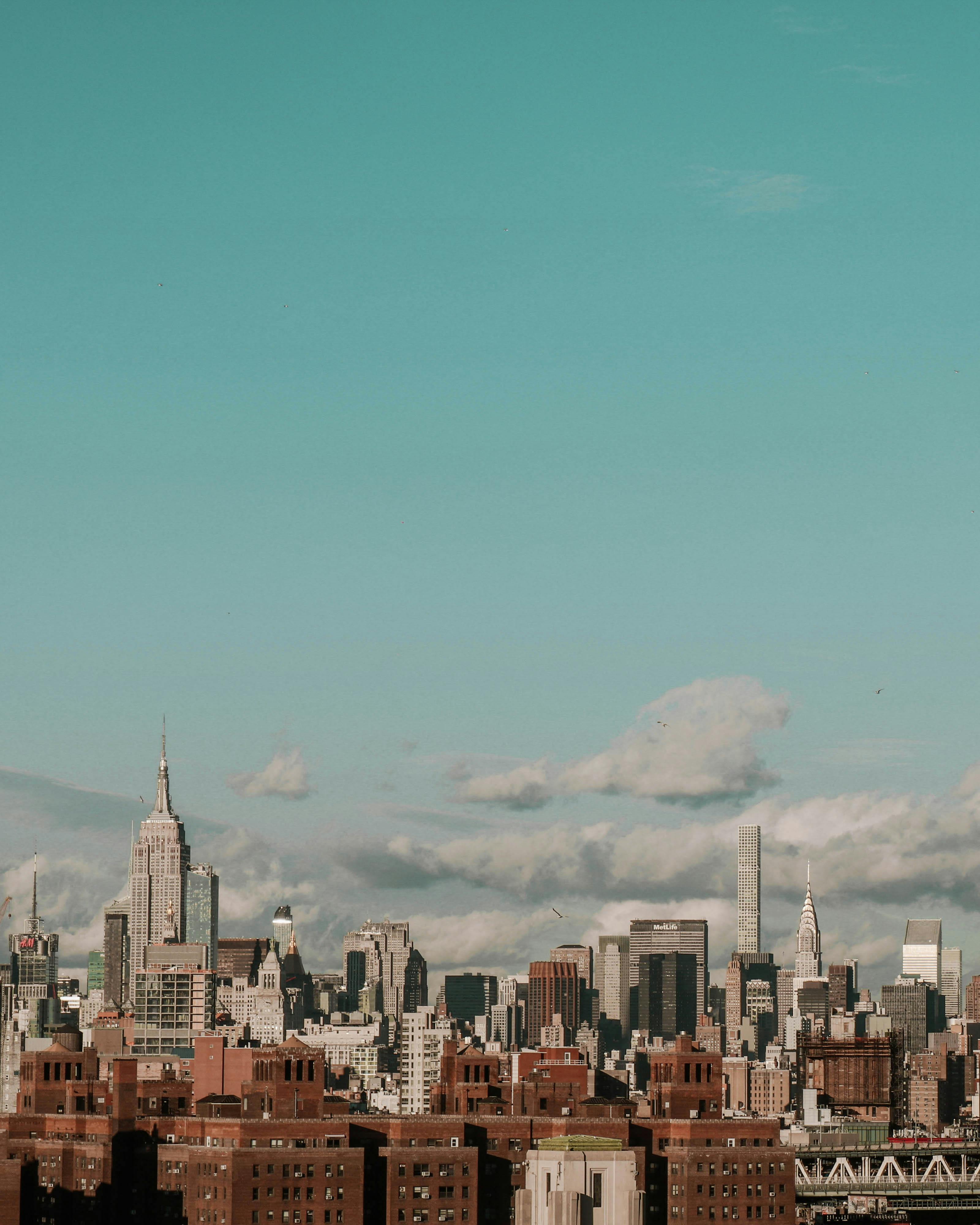 纽约市白天的天际线景色迷人，其中包含标志性的摩天大楼