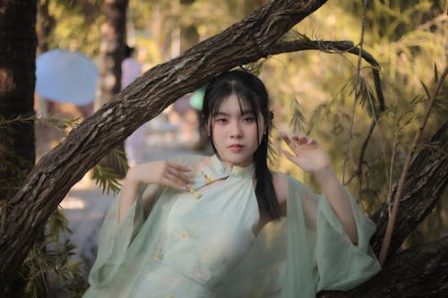 Gratis stockfoto met aantrekkelijk mooi, Aziatische vrouw, boom
