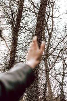 A hand reaching towards leafless trees captures the essence of autumn's transition and nature's cycles.