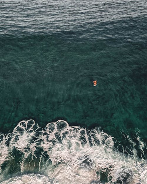 grátis Pessoa Nadando Em água Verde Foto profissional