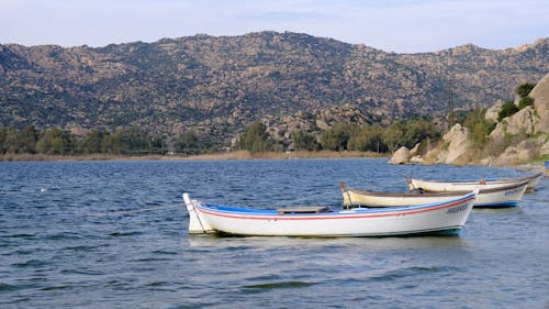 Darmowe zdjęcie z galerii z jezioro, krajobraz, lakeshore
