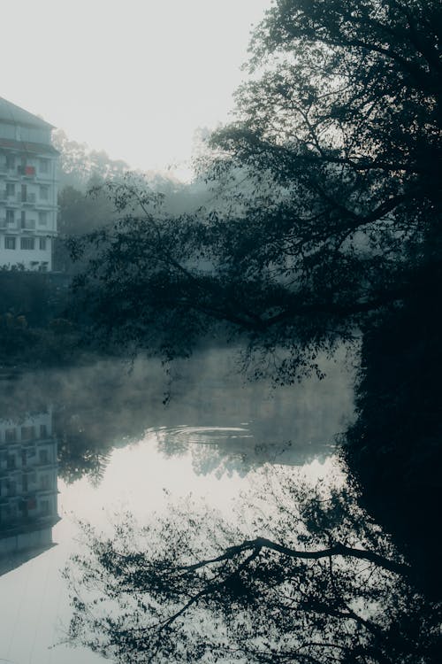 Foto profissional grátis de enevoado, garoa, lago