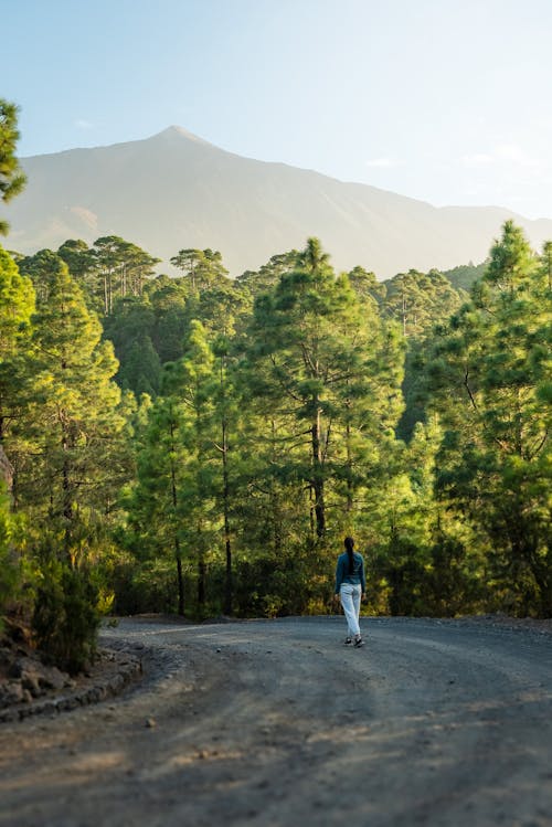 Woman Walking on Dirt Road in Forest