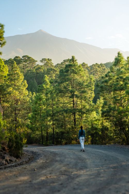 Free Serene forest trail scene with woman walking and mountain in the distance. Perfect for adventure themes. Stock Photo