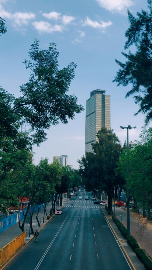 Free A picturesque street view of a skyscraper flanked by lush trees under a bright sky. Stock Photo