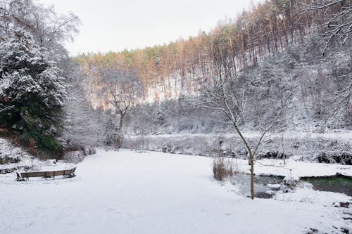 Ilmainen kuvapankkikuva tunnisteilla flunssa, huurteinen, laakso