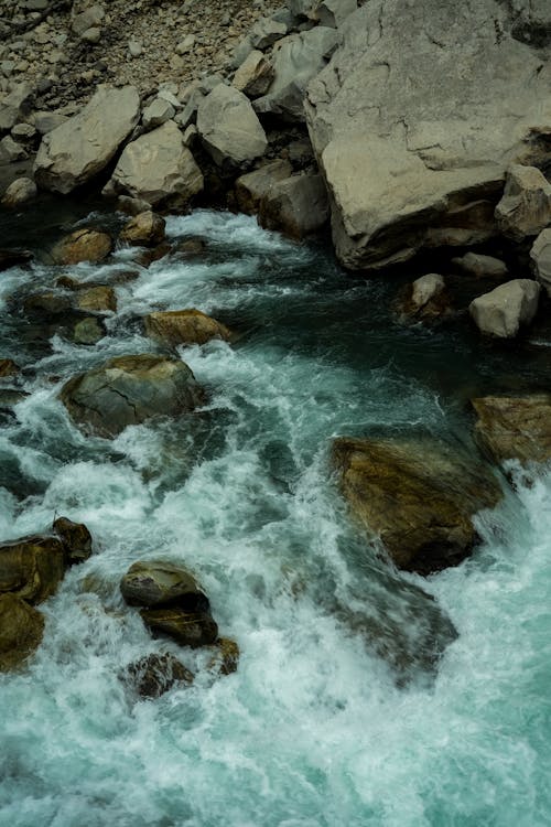 Rocks on Stream · Free Stock Photo